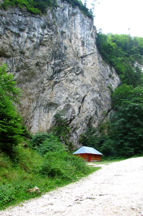 /Piatra/img_9838.jpg