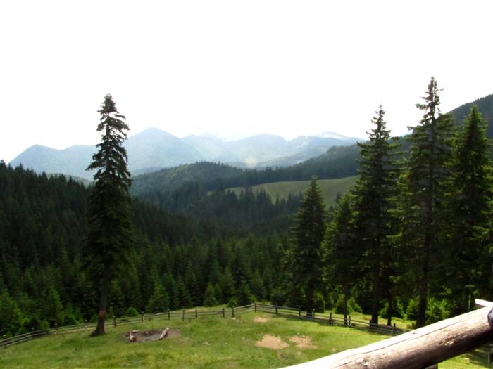 /Piatra/img_9934.jpg