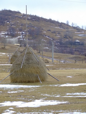 Carpati.org