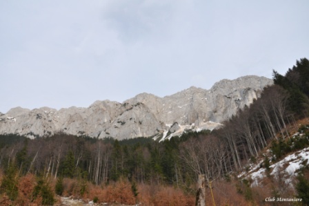 /garofita/04-dsc_1863.jpg