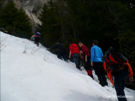 /garofita/08-picture_047.jpg