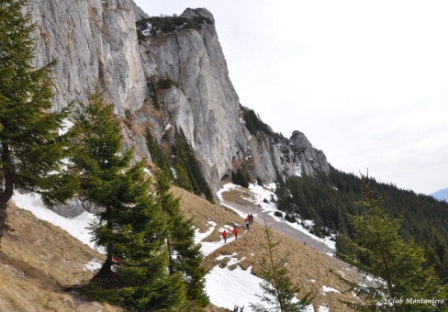 /garofita/12-dsc_1792.jpg