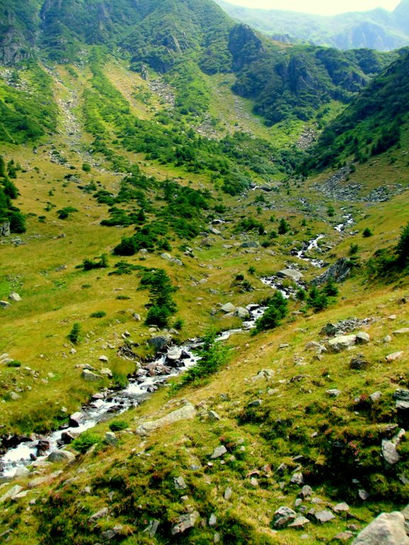 /fagaras/5.jpg