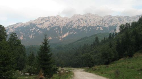 Carpati.org