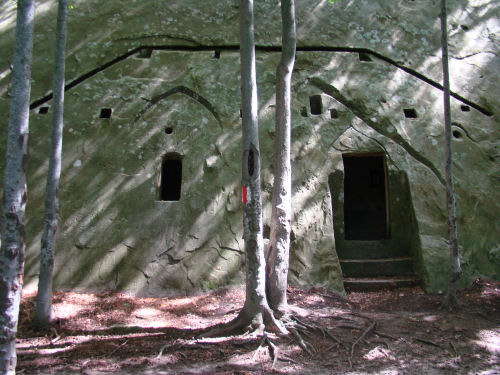 Carpati.org