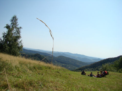 Carpati.org