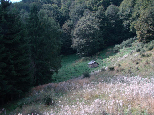 Carpati.org