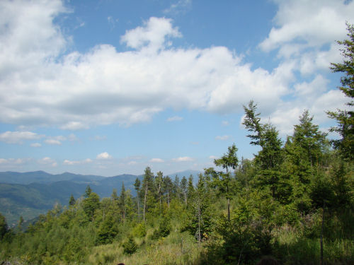 Carpati.org