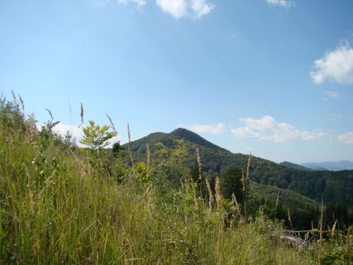 Carpati.org