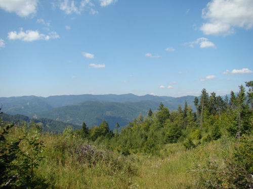 Carpati.org