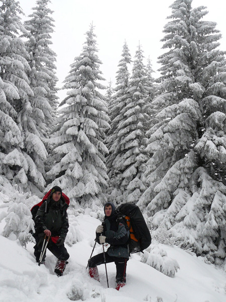 /Fagaras/16.jpg