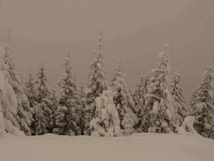 /Fagaras/46.jpg