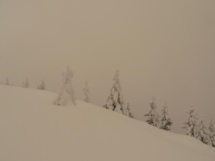 /Fagaras/47.jpg