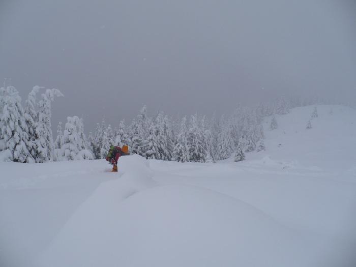 /Fagaras/51.jpg