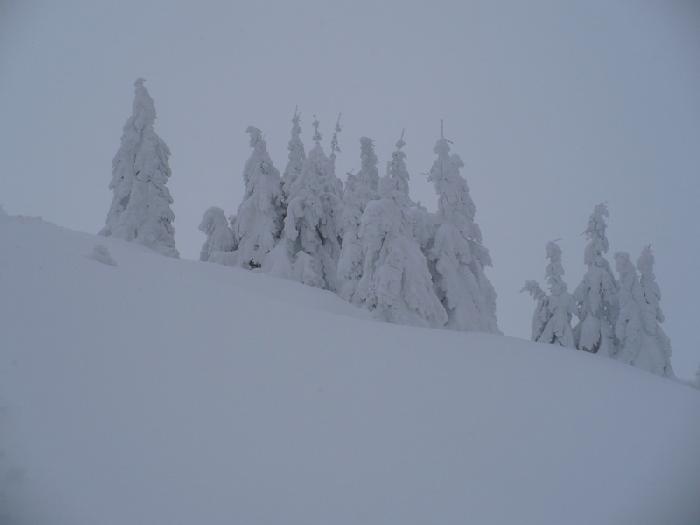 /Fagaras/53.jpg