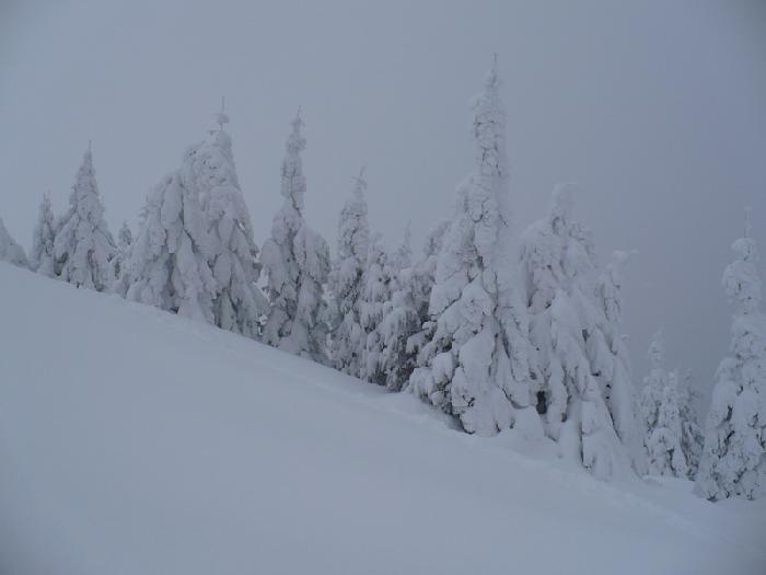 /Fagaras/54.jpg