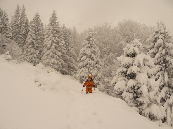 /Fagaras/66.jpg
