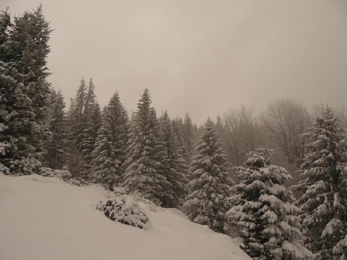 /Fagaras/9.jpg