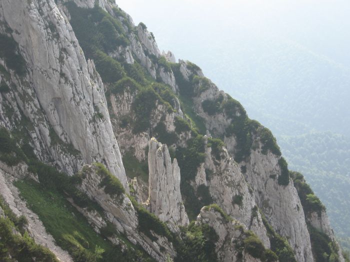 /coarnele/09a_degetul_lui_calinetz.jpg