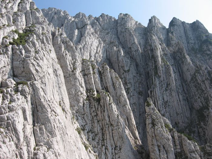 /coarnele/11_imparatia_de_piatra.jpg