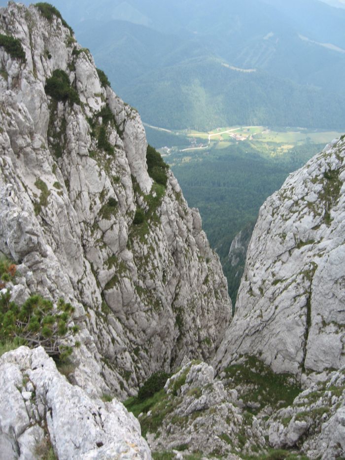 /coarnele/19_traversare_canion_cioranga.jpg