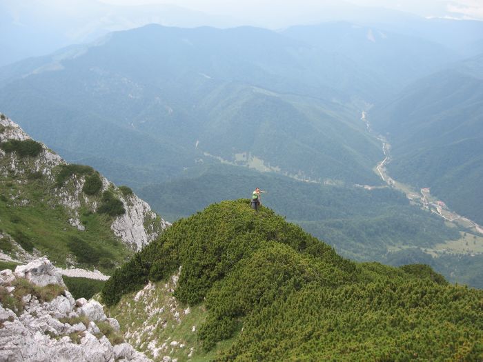 /coarnele/20_cautand_braul_cioranga.jpg