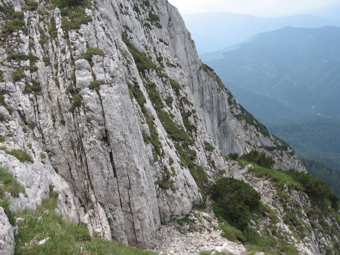 /coarnele/22_braul_cioranga.jpg