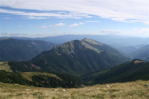 /2010/img_0842.jpg