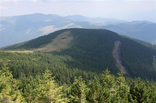 /2010/img_1066.jpg