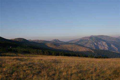 /2010/img_1096.jpg