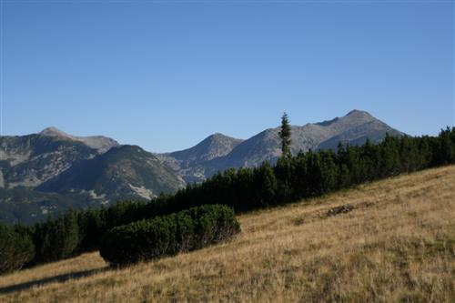 /2010/img_1106.jpg