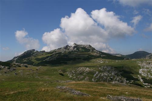 /2010/img_1156.jpg