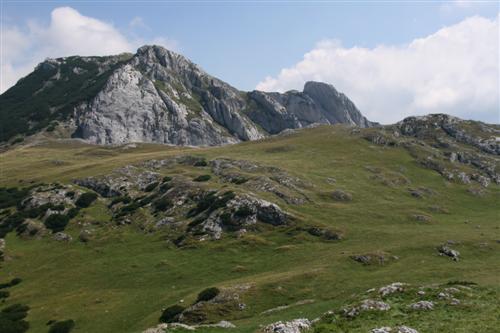 /2010/img_1181.jpg