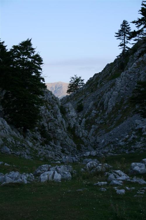 /2010/img_1454.jpg
