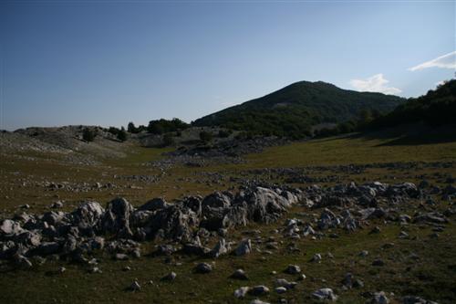 /2010/img_1459.jpg