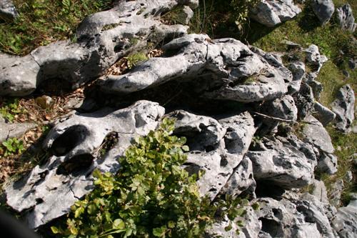 /2010/img_1508.jpg