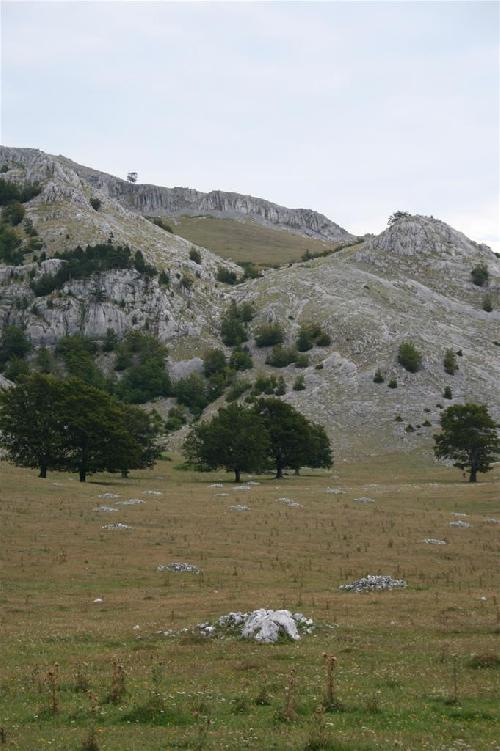/2010/img_1530.jpg