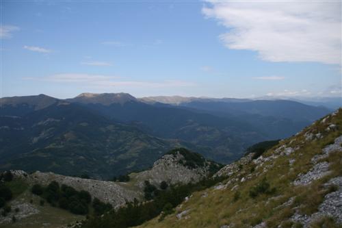 /2010/img_1550.jpg