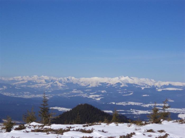 /Calimaniiarna2013/dsc00137.jpg