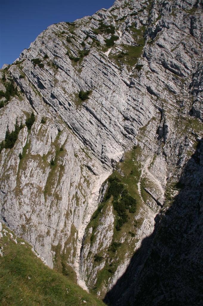 /craibm/img_4096__custom_.jpg