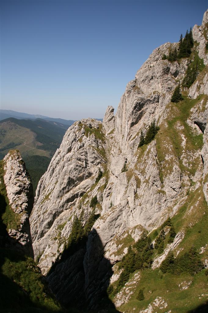 /craibm/img_4103__custom_.jpg