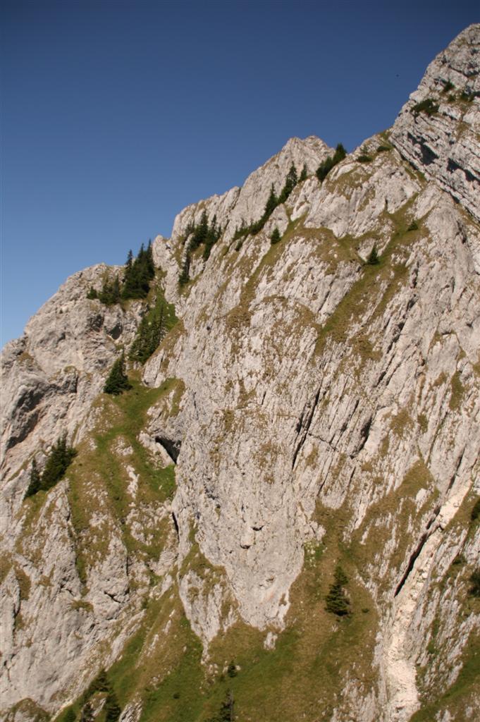 /craibm/img_4104__custom_.jpg