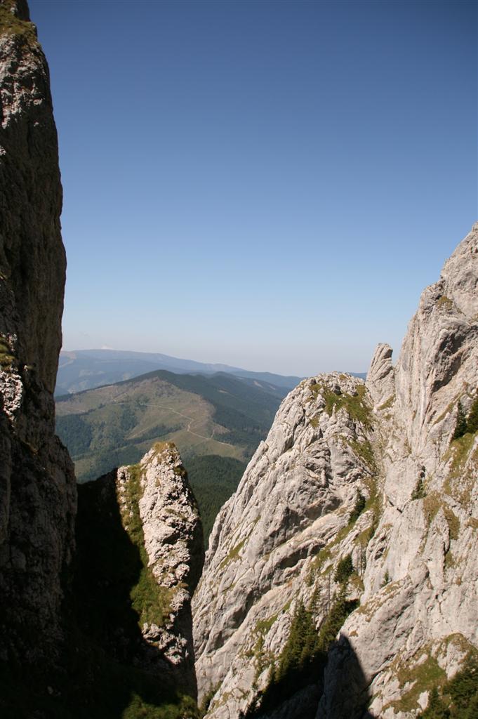 /craibm/img_4108__custom_.jpg