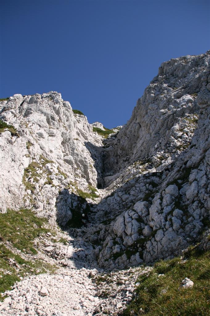 /craibm/img_4225__custom_.jpg