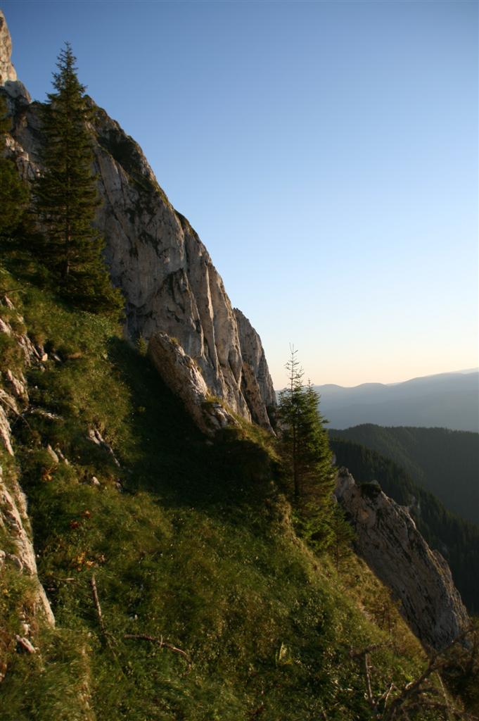 /craibm/img_4269__custom_.jpg