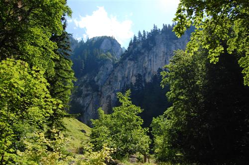 Carpati.org