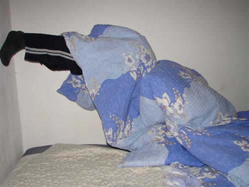 /diham1/dsc06155__custom_.jpg