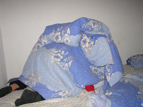 /diham1/dsc06157__custom_.jpg