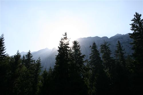 Carpati.org