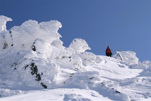 Carpati.org
